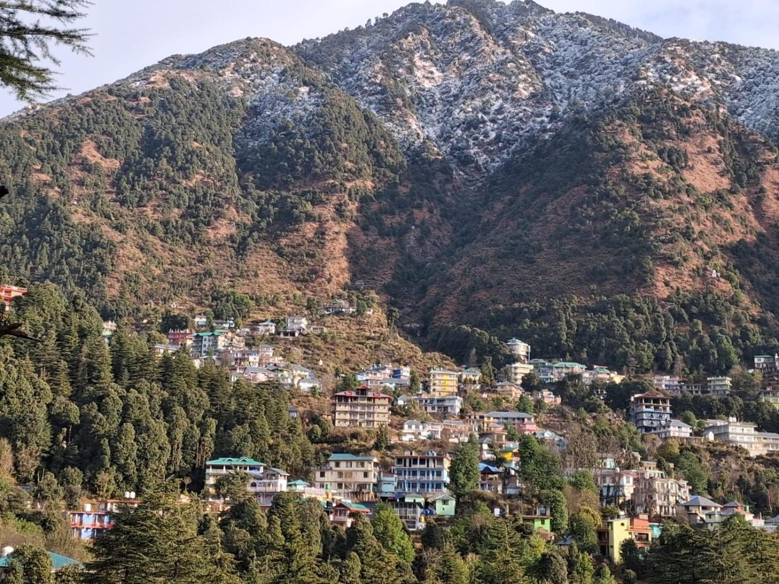 Cloudchat Dharamshala Extérieur photo